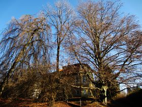 Die Villa hinter Bäumen - 2016